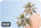 Palm trees thumbnail